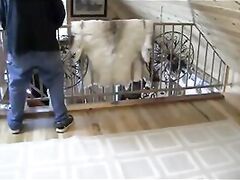 sucking and taking cock while assumedly being raped is a major part of the movies.